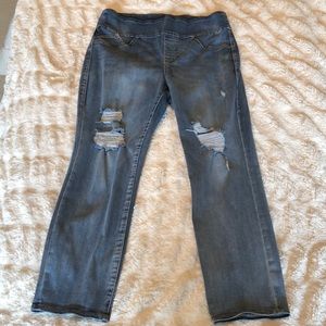 Rock & Republic Fever Pull-on Crop Jeans